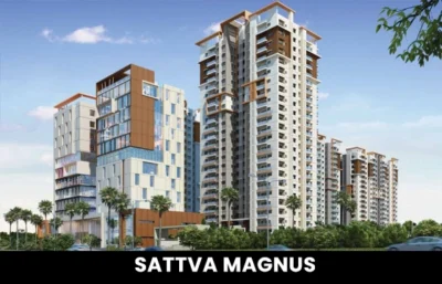 Sattva Magnus